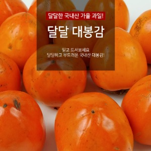 ★특가★ 꿀떨어지는 달콤한 대봉감 5kg